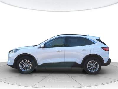 Ford Kuga Kuga 1.5 ecoblue titanium business 2wd 120cv auto Bianco usata San Vendemiano