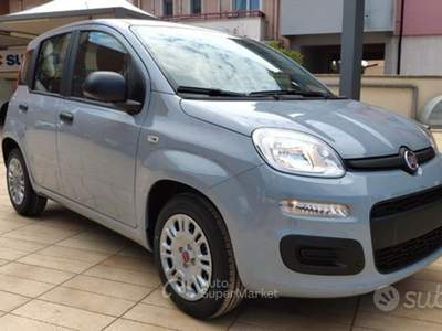 Fiat Panda HYBRID 65 CV POP Nero usata MONOPOLI