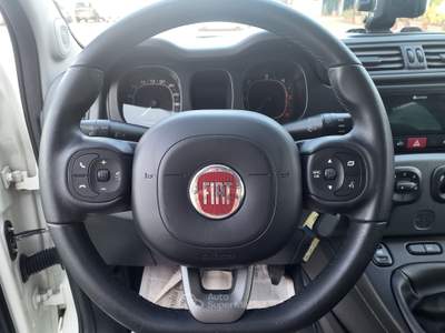 Fiat Panda FIAT Panda 1.3 Mjet 95cv. S&S 4X4 Uniprò Bianco usata Bari