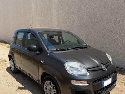 Fiat Panda perfetta Grigio usata Olbia