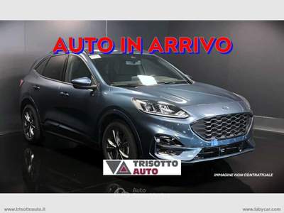 Ford Kuga Kuga 2.0 EcoBlue 120 CV aut. 2WD ST-Line Bianco usata Scurelle