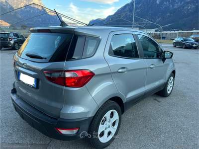 Ford EcoSport EcoSport 1.0 EcoBoost 100 CV Connect Argento usata Scurelle