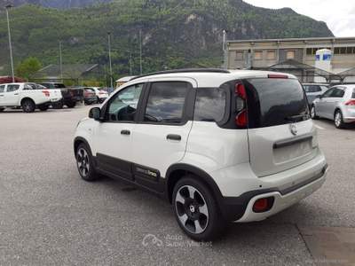 Fiat Panda Panda 1.0 FireFly Hybrid 70CV Pandina VARI COLORI Bianco usata Scurelle