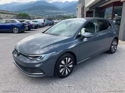 Volkswagen Golf Golf 8 2.0 TDI 116 CV MOVE Grigio usata Scurelle