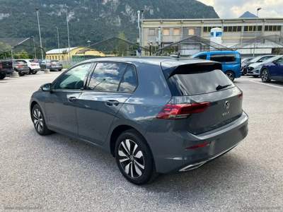 Volkswagen Golf Golf 8 2.0 TDI 116 CV MOVE Grigio usata Scurelle