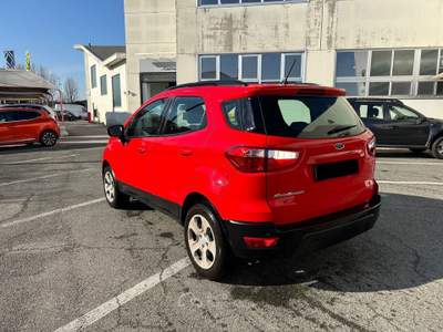 Ford EcoSport 2018 1.0 EcoBoost 100cv Plus my20.25 Rosso usata Mappano