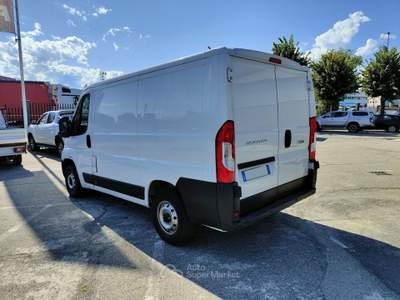 Fiat Ducato 290 30 CH1 2.3 mjt 120cv E6d-temp Bianco usata Mappano