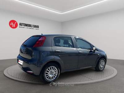 Fiat Punto 1.4 8V 5 porte Easypower Street Grigio usata Maniago