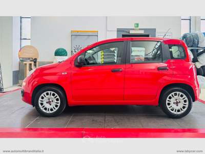 Fiat Panda Panda 1.0 FireFly S&S Hybrid Rosso usata Venezia