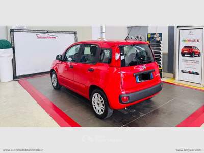 Fiat Panda Panda 1.0 FireFly S&S Hybrid Rosso usata Venezia