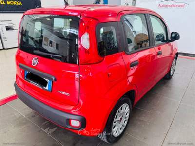 Fiat Panda Panda 1.0 FireFly S&S Hybrid Rosso usata Venezia