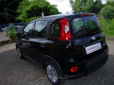 Fiat Panda 1.0 FireFly S&S Hybrid City Life - COME NUOVA KM 1 Nero usata CALUSO