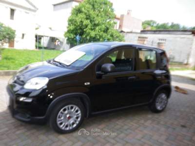Fiat Panda 1.0 FireFly S&S Hybrid City Life - COME NUOVA KM 1 Nero usata CALUSO