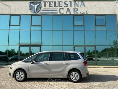 Citroen C4 1.5 BlueHDi 130cv EAT8 7 POSTI Beige usata San Salvatore Telesino
