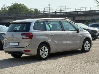 Citroen C4 1.5 BlueHDi 130cv EAT8 7 POSTI Beige usata San Salvatore Telesino