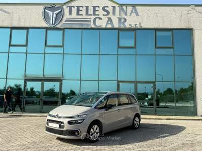Citroen C4 1.5 BlueHDi 130cv EAT8 7 POSTI Beige usata San Salvatore Telesino