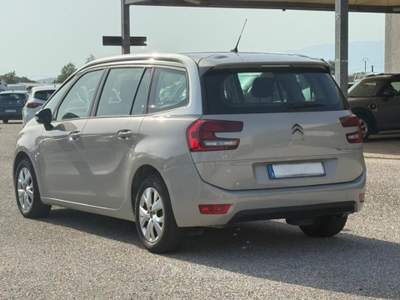 Citroen C4 1.5 BlueHDi 130cv EAT8 7 POSTI Beige usata San Salvatore Telesino