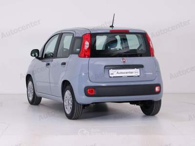 Fiat Panda 1.0 firefly hybrid s&s 70cv Grigio usata Bassano del Grappa