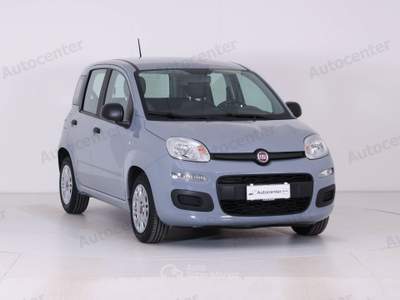 Fiat Panda 1.0 firefly hybrid s&s 70cv Grigio usata Bassano del Grappa