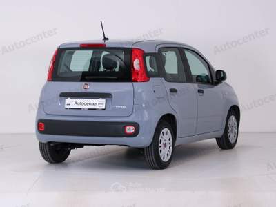 Fiat Panda 1.0 firefly hybrid s&s 70cv Grigio usata Bassano del Grappa