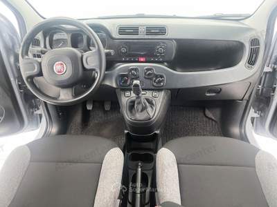 Fiat Panda 1.0 firefly hybrid s&s 70cv Grigio usata Bassano del Grappa