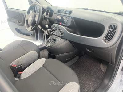 Fiat Panda 1.0 firefly hybrid s&s 70cv Grigio usata Bassano del Grappa