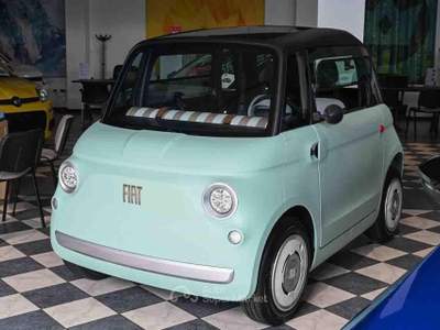 Fiat Topolino 6kw Verde usata Pianezza