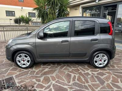 Fiat Panda 1.0 FireFly S&S Hybrid City Life Grigio usata GENZANO DI ROMA