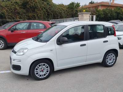 Fiat Panda 1.0 FireFly S&S Hybrid Easy Bianco usata Modica