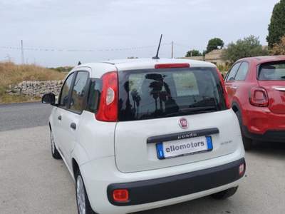 Fiat Panda 1.0 FireFly S&S Hybrid Easy Bianco usata Modica