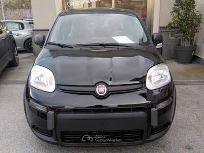 Fiat Panda MY25 - 1.0 FireFly Hybrid ICON usata TORRE DEL GRECO