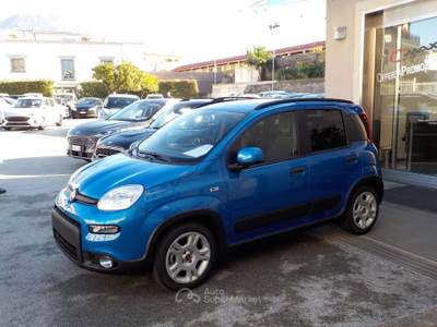 Fiat Panda MY25 - 1.0 FireFly Hybrid ICON usata TORRE DEL GRECO