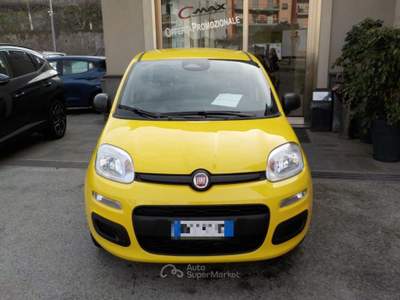 Fiat Panda MY25 - 1.0 FireFly Hybrid ICON usata TORRE DEL GRECO