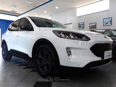 Ford Kuga 1.5 EcoBlue 120 CV CONNECT Bianco usata Carlentini
