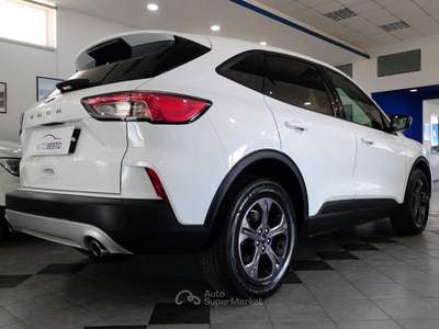 Ford Kuga 1.5 EcoBlue 120 CV CONNECT Bianco usata Carlentini