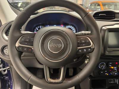 Jeep Renegade  - renegade 1.6 mjt limited 2wd 130cv Blu/Azzurro usata Biella