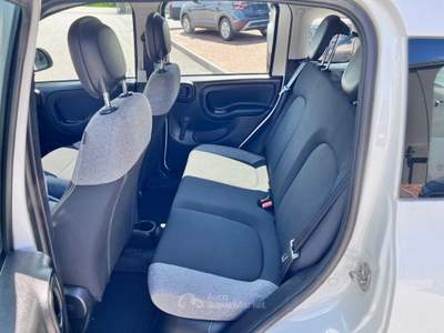 Fiat Panda 0.9 TwinAir Turbo S&S 4x4 Wild Bianco usata Pieve di Soligo