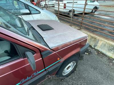 Fiat Panda 1000 4x4 Country Club Lilla usata Scandiano