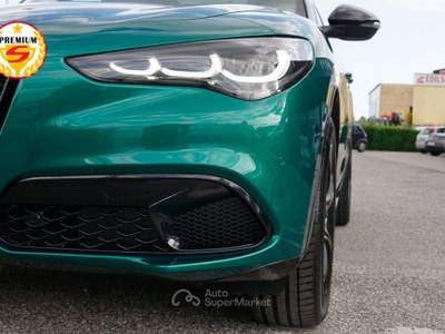 Alfa Romeo Stelvio 2.2 210cv Intensa Q4 | TETTO Verde usata Caerano di San Marco