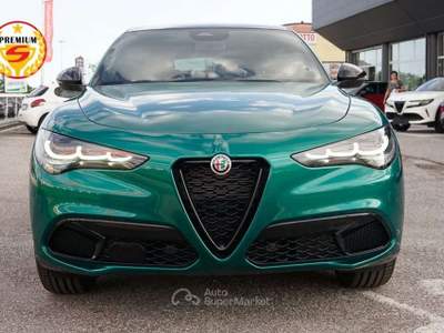 Alfa Romeo Stelvio 2.2 210cv Intensa Q4 | TETTO Verde usata Caerano di San Marco