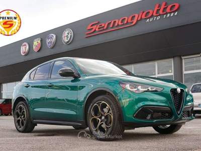 Alfa Romeo Stelvio 2.2 210cv Intensa Q4 | TETTO Verde usata Caerano di San Marco
