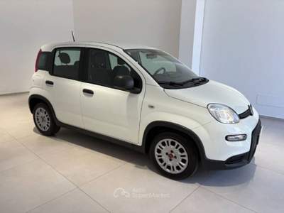 Fiat Panda 1.0 firefly hybrid s&s 70cv 5p.ti Bianco usata Caltagirone