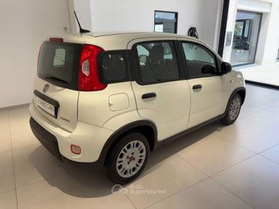 Fiat Panda 1.0 firefly hybrid s&s 70cv 5p.ti Bianco usata Caltagirone