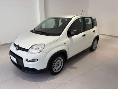 Fiat Panda 1.0 firefly hybrid s&s 70cv 5p.ti Bianco usata Caltagirone