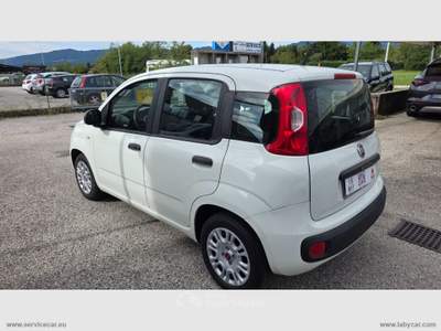 Fiat Panda Panda 1.2 EasyPower Easy Bianco usata Santorso