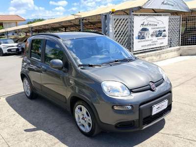 Fiat Panda 1.0 FireFly S&S Hybrid Grigio usata Saviano