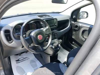 Fiat Panda 1.0 FireFly S&S Hybrid Grigio usata Saviano
