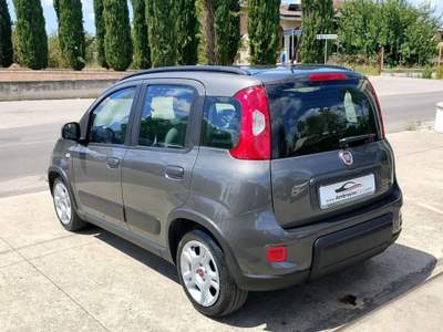 Fiat Panda 1.0 FireFly S&S Hybrid Grigio usata Saviano
