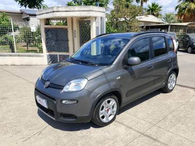 Fiat Panda 1.0 FireFly S&S Hybrid Grigio usata Saviano