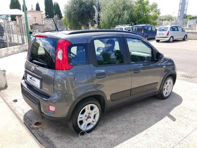 Fiat Panda 1.0 FireFly S&S Hybrid Grigio usata Saviano